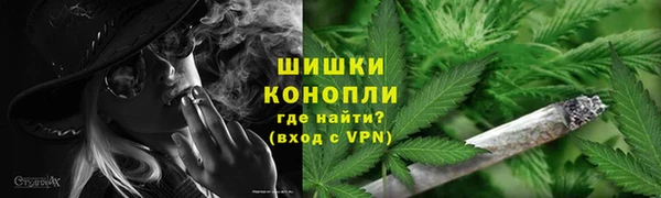 сатива Балахна