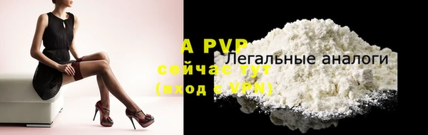 сатива Балахна