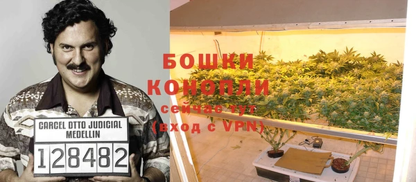 сатива Балахна