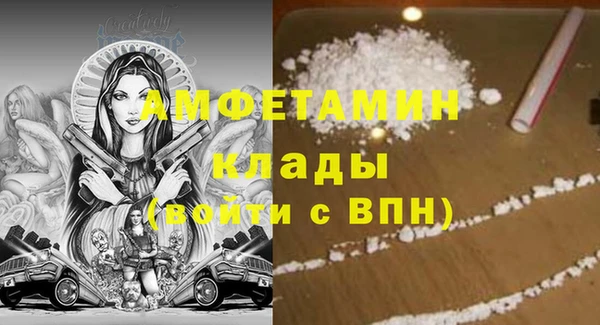 сатива Балахна