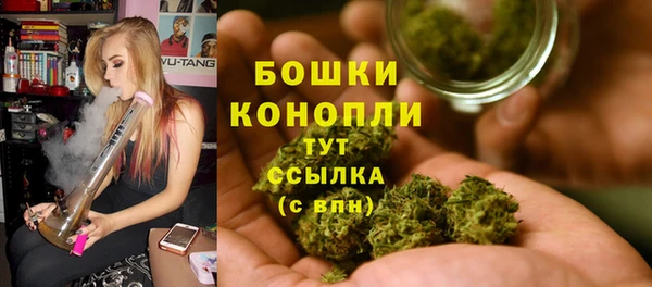 сатива Балахна