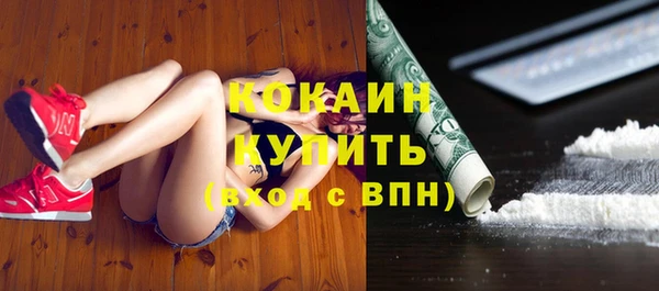 сатива Балахна