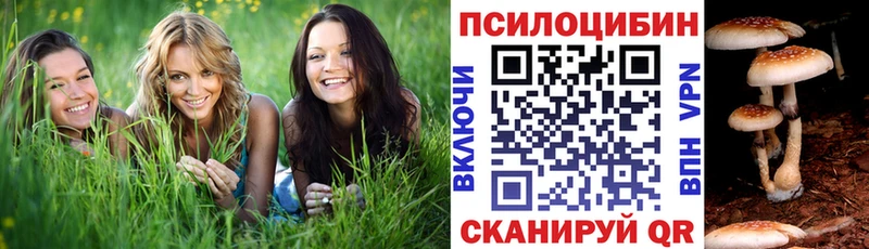omg маркетплейс  Белово  Галлюциногенные грибы мухоморы 